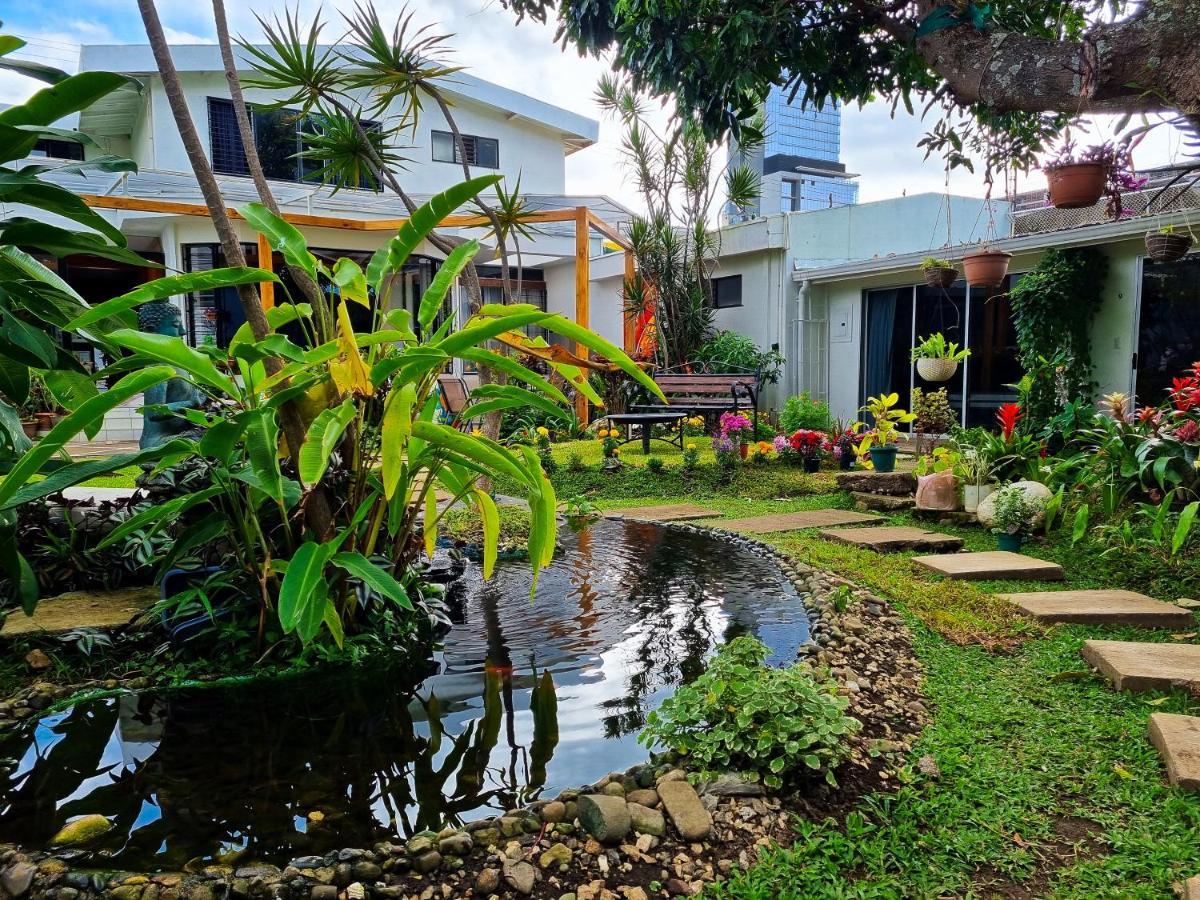 Casa Jardin Del Mango San José