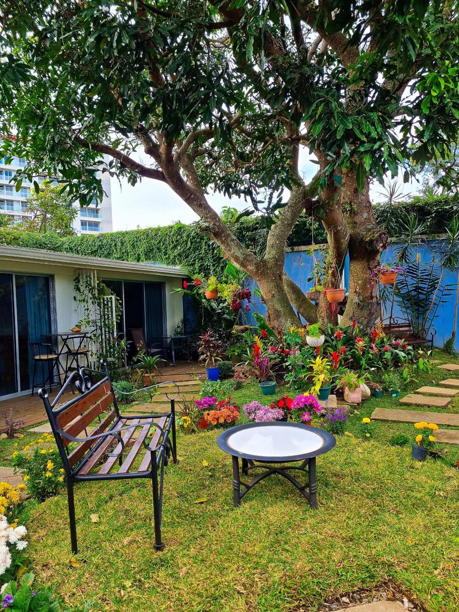 Casa Jardin Del Mango Pensión 2*